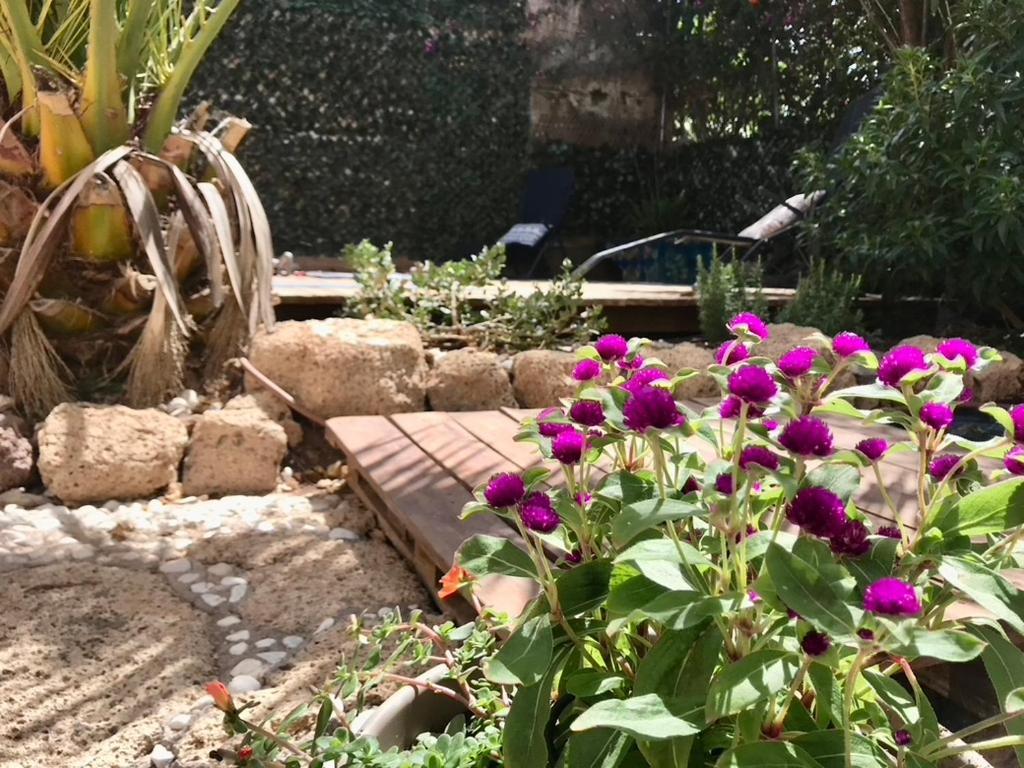 Casa Vivaqi Tenerife Granadilla De Abona Exteriör bild